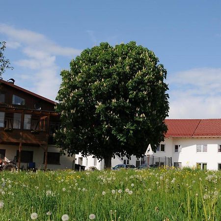 Ferienhof Hopfgaertle Mueller Bodnegg Kültér fotó