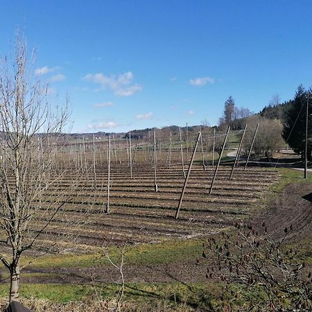 Ferienhof Hopfgaertle Mueller Bodnegg Kültér fotó