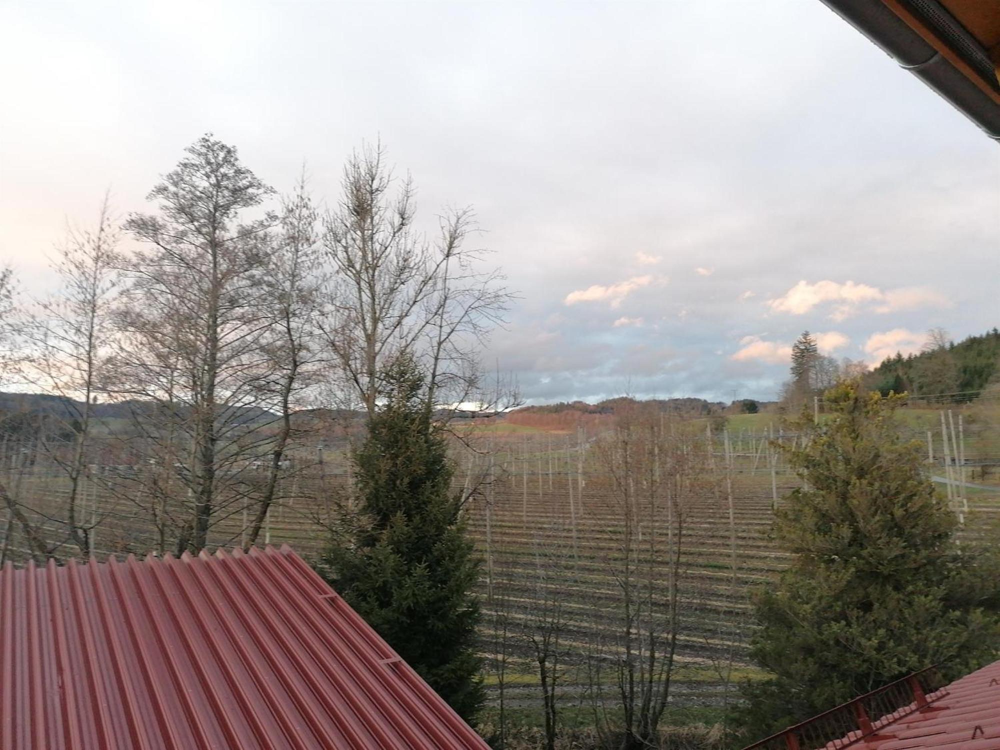 Ferienhof Hopfgaertle Mueller Bodnegg Szoba fotó